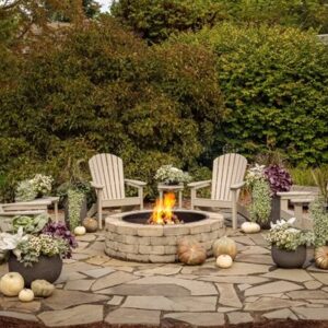 Yard Garden Outdoor